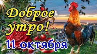 ️ Доброе Утро! Я вам желаю только Удачи! Утренний Позитив для Друзей!