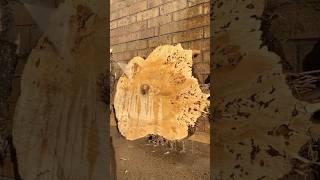 I got a $3000 Burl from a free firewood add.