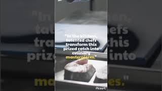 THE TUNA FISH TALES FROM OCEAN TO PLATE ️