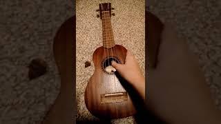 WHAT A TUNED UKULELE SHOULD SOUND LIKE!