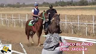 Grande Carreras de Caballos Sabado 1/Marzo/2025 Carril Cristo Rey Las Trojes de Silao Gto.