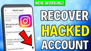 How To Recover A Hacked Instagram Account (2024)