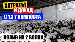 Затраты и доход. Полив на 2 волну. Выращивание шампиньонов. Бизнес в гараже