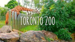 The Largest Zoo in Canada | Toronto Zoo 2022 Complete Tour