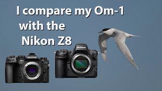 How does the Nikon Z8 and the 180-600mm lens compare to my OM-1 mk2 and the 150-400mm?