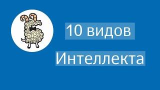 10 видов интеллекта - Бэби-клуб