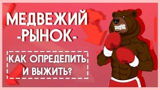 Как выжить на медвежьем рынке? | Стратегии и тактики выживания на дне рынка