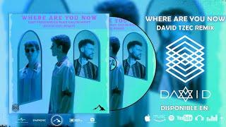 Lost Frequencies (feat. Calum Scott) - Where Are You Now [David Tzec Remix] (Slap House)