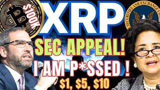 Will the SEC Appeal Ripple's Win | XRP's Future & Price Predictions | BTC's Massive Bull Rally Ahead