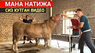 МАНА НАТИЖА СИЗ КУТГАН ВИДЕО !!! ХОРАЗМ БОЗОР