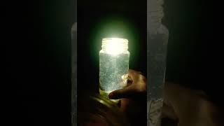 #Exitement #experiment #MSR Present videos 