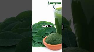 Moringa: The Superplant You NEED to Know About! #shorts #moringa #drumsticks #plants #superplant