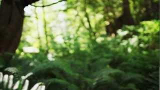 Emancipator "Minor Cause" Official Music Video