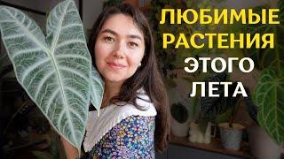 РАСТЕНИЯ, которые РАДУЮТ меня БОЛЬШЕ ВСЕГО  | ТОП-15 моих самых КРАСИВЫХ растений ЛЕТА 2024