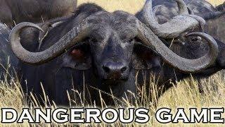 Hunting dangerous game in Mozambique