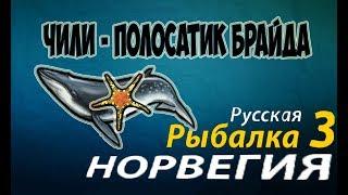 Русская рыбалка 3.99 Лучший заработок в 2018г в (ОБНОВЛЕНИЕ В КАМЧАКЕ) — Полосатик Брайда