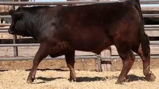 Fillmore :: lot 41