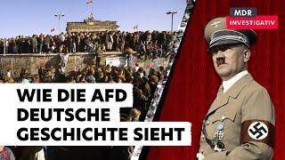 Nationalsozialismus und DDR – Wie die AfD die deutsche Geschichte politisch nutzt | Doku