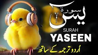 Surah  Yasin (Yaseen) | Surah Yaseen With Urdu Translation | Episode 54