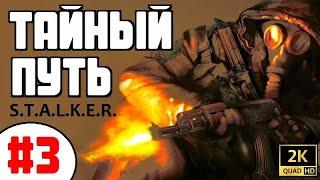 S.T.A.L.K.E.R.  ТАЙНЫЙ ПУТЬ  #3 ПОЗИТИВНЫЙ ХЕМУЛЬ и РАБОТА В ДОЛИНЕ!