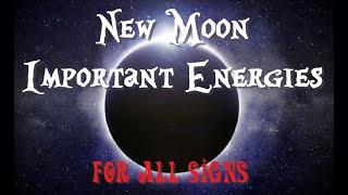 New Moon in Sagittarius - You may feel an odd hidden dread towards an upcoming conversation! It's OK