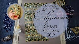 СКОРПИОН МУЖЧИНА. ЯНВАРЬ, ФЕВРАЛЬ 2019. Таро-прогноз