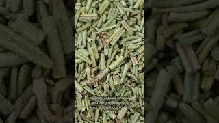 The Mystical Properties of Herbs