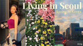 Living in Seoul Diaries  hello spring!