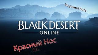 Black Desert Online (RU):Красный нос (мировой босс) убийство в соло