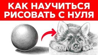 Как научиться рисовать с нуля? || ‍Рисование для начинающих