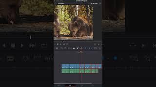 #shorts Amazing Yet Simple Keyboard Shortcut in DaVinci Resolve #Davinci Resolve