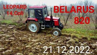 BELARUS 820 Oranje 21.12.2022. Leopard 14.coli | Plowing | Ploughing