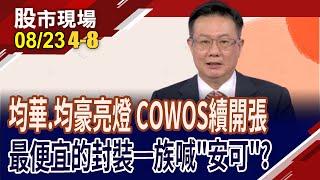 玻璃股.COWOS強勢 誰兩者兼具又便宜?台虹.安可同題材 誰股價俗又大碗?半導體薄化股掀補漲?｜20240823(第4/8段)股市現場*鄭明娟(李世新)