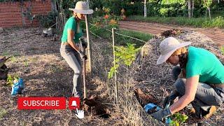 Plantando Caju Tamarindo e Flores nachácara🪴 #PlanteComigo #CajuTamarindo #Jardinagem #roça #sitio