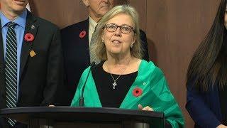 Elizabeth May steps down as Green Party leader, interim replacement announced