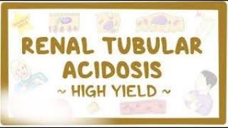 Renal Tubular Acidosis Type  2 [High Yield Topic]