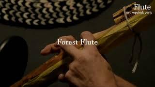 Music Video 2024 |Forest Flute - Prokopchuk Yuriy