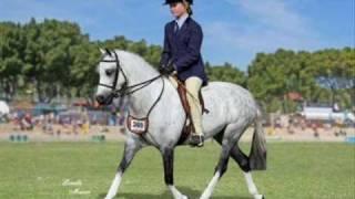 Jaamon Lillyput Royal Show Hunter 2009