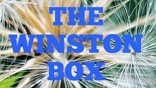 Winston Box A Clothes Box for Big and Tall Guys