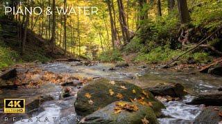 Peaceful Spa Radio  Water Sounds & Relaxing Music 24/7