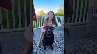 Wiggle Your Ears, MINNIE!  #shorts #trending #viralvideo #funny #dog #fyp