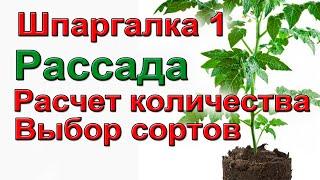 Сколько рассады надо. Какие сорта.  Шпаргалка 1