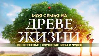 СЛУЖЕНИЕ ВЕРЫ И ЧУДЕС | 20.10.2024