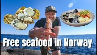 Free seafood in Norway, Sandefjord