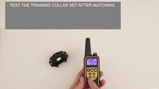 Dog Training Collar Amazon Top Seller how to use shock collar