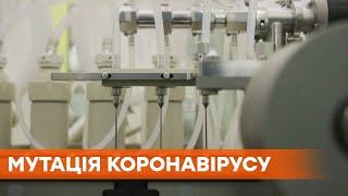 Мутация коронавируса в Британии не вышла из-под контроля