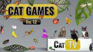 CAT Games | Ultimate Cat TV Bugs and Butterflies Compilation Vol 12 🪲   Videos For Cats to Watch