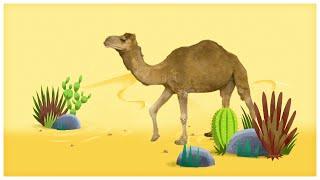 Animal Songs: "Walk Like a Camel," by StoryBots | Netflix Jr