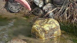 THE FIND IN THE MOUNTAIN RIVER BIG STONE IS LIKE THE GOLD.