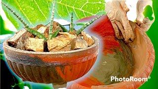 How to make a cement pot Make your own pots Beautiful, easy to do